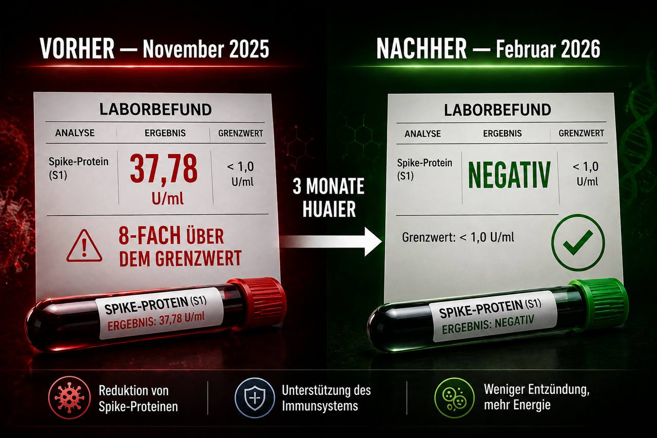 Infografik: Vorher November 2025 - Spike-Protein 37,78 U/ml, 8-fach über Grenzwert. Nachher Februar 2026 - Negativ. 3 Monate Huaier.